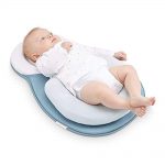 Babies Bloom New-Born Purple Anti-Rollover Pillow/Mattress