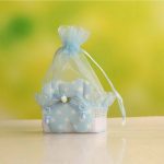 Babies Bloom Blue Non-Woven Baby Gift/Shower Candy Bag (12X10X6 Cm) (Set Of 12)